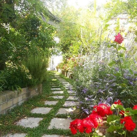 Il Vialetto Dei Limoni Bed & Breakfast Vico Equense Exterior foto