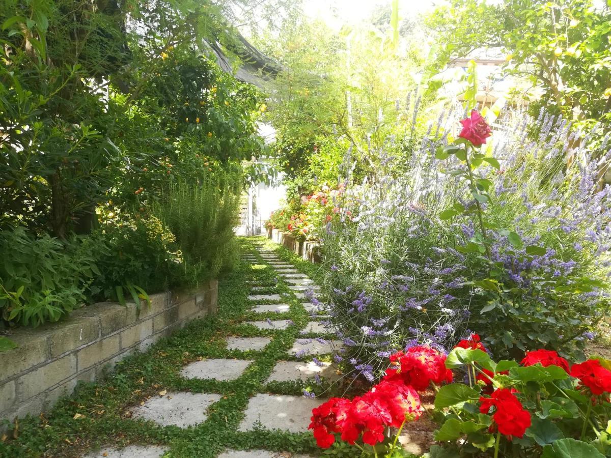 Il Vialetto Dei Limoni Bed & Breakfast Vico Equense Exterior foto